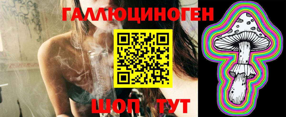 Уварово  наркота  Галлюциногенные грибы GOLDEN TEACHER  Вход с VPN  Псилоцибиновые грибы Psilocybine cubensis 